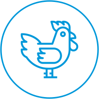 Iconhen